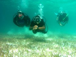 Three divemaster candidates practicing their underwater n... by Martin Spragg 